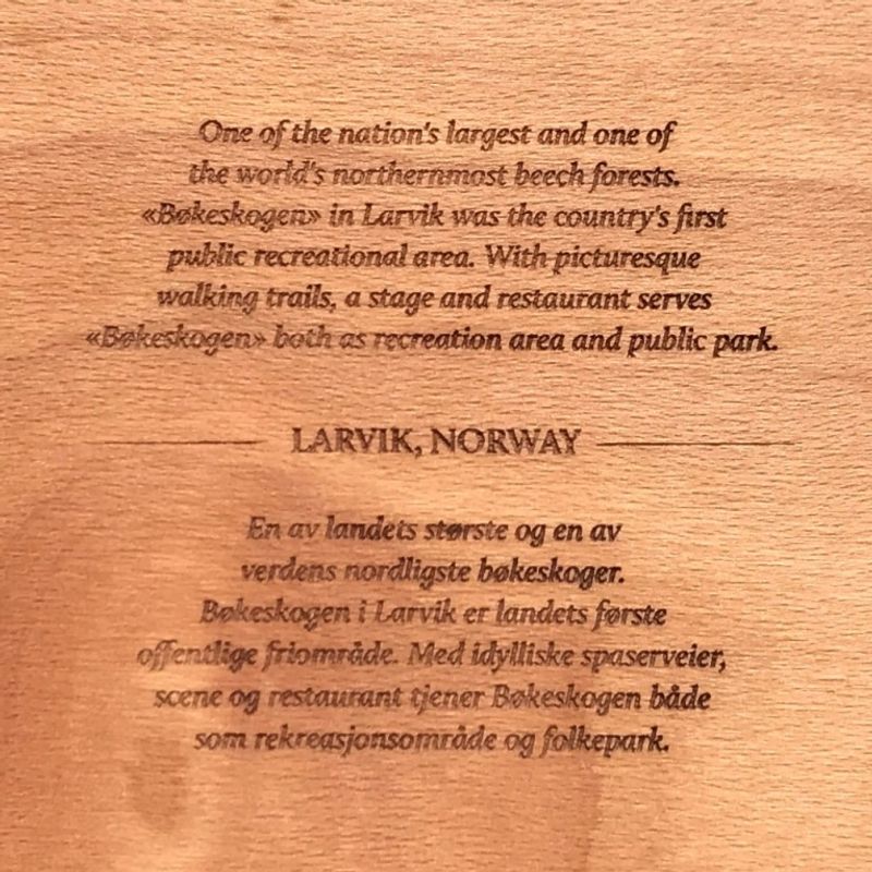 Glassbrikke Bøkeskogen