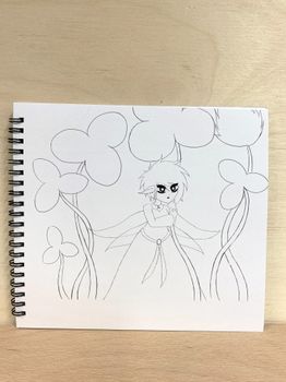 Hovedbilde Tegnebøker