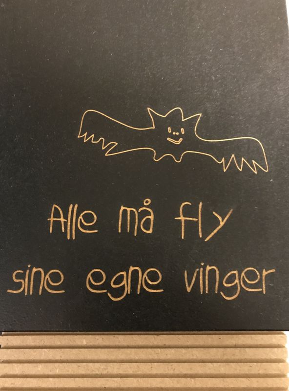 Flaggermuskasse
