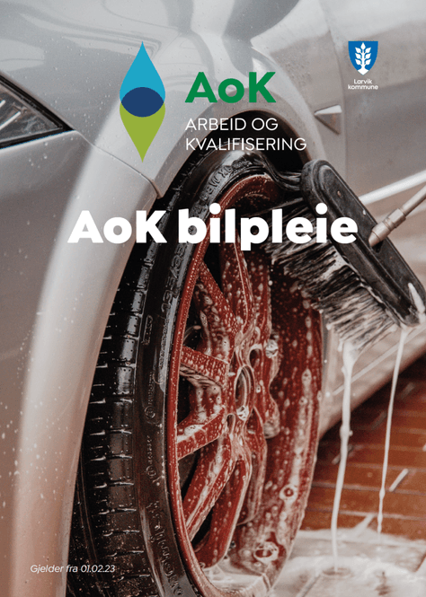 Hovedbilde BILPLEIE